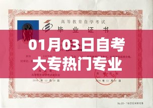 自考大專(zhuān)熱門(mén)專(zhuān)業(yè)解析（最新）