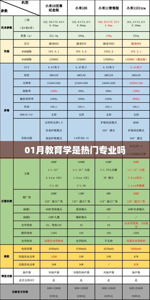 教育學(xué)是否成為熱門專業(yè)，深度解析
