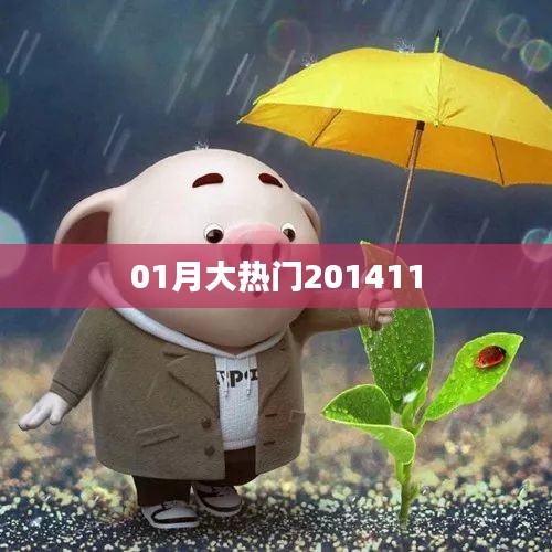 大熱門事件回顧，揭秘2014年1月熱點話題