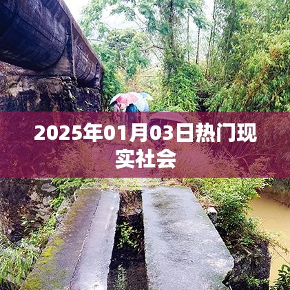 2025年熱門(mén)社會(huì)現(xiàn)象觀察，現(xiàn)實(shí)社會(huì)的變遷與趨勢(shì)分析。