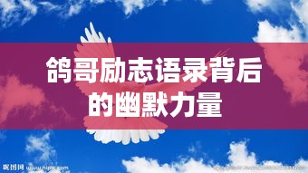鴿哥勵(lì)志語(yǔ)錄背后的幽默力量