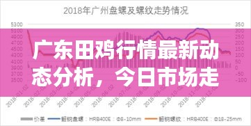 廣東田雞行情最新動態(tài)分析，今日市場走勢揭秘