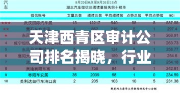 天津西青區(qū)審計(jì)公司排名揭曉，行業(yè)影響力榜單重磅出爐！