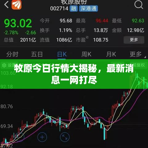 牧原今日行情大揭秘，最新消息一網(wǎng)打盡
