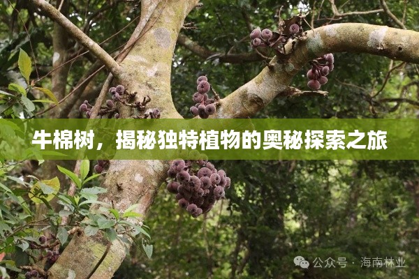 欣喜若狂 第4頁(yè)