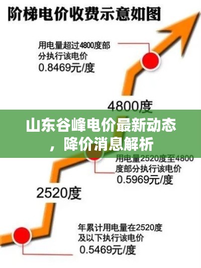 山東谷峰電價最新動態(tài)，降價消息解析