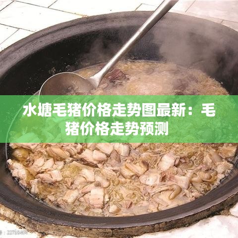 水塘毛豬價(jià)格走勢圖最新：毛豬價(jià)格走勢預(yù)測 
