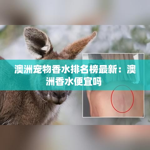 風度翩翩 第4頁