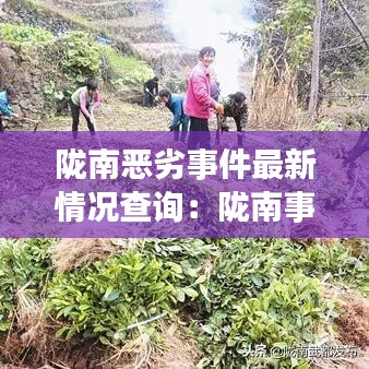 隴南惡劣事件最新情況查詢：隴南事件2018 