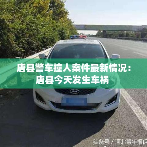 還淳反素 第4頁