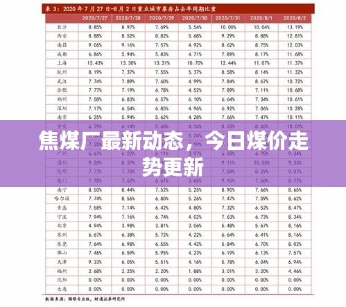焦煤廠最新動態(tài)，今日煤價走勢更新
