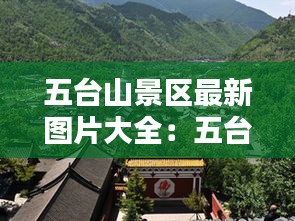 獨學(xué)寡聞 第3頁