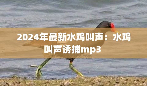 正襟危坐 第5頁(yè)