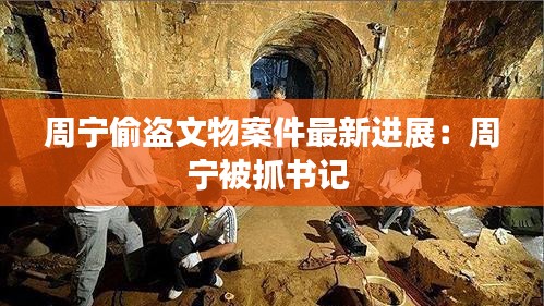 周寧偷盜文物案件最新進(jìn)展：周寧被抓書(shū)記 