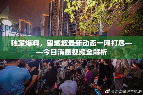 獨家爆料，望城坡最新動態(tài)一網(wǎng)打盡——今日消息視頻全解析