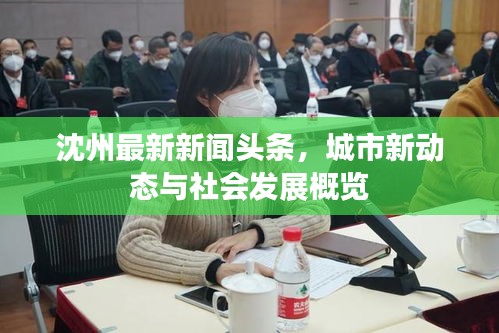 沈州最新新聞?lì)^條，城市新動(dòng)態(tài)與社會(huì)發(fā)展概覽