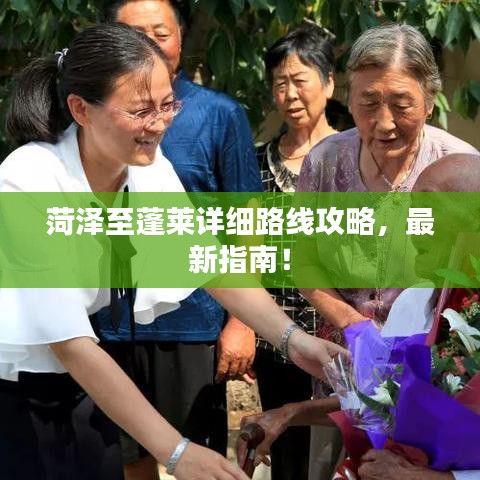 菏澤至蓬萊詳細(xì)路線攻略，最新指南！