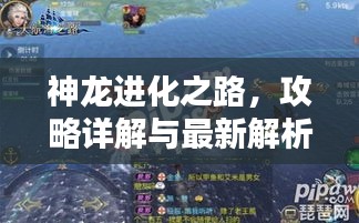 神龍進(jìn)化之路，攻略詳解與最新解析