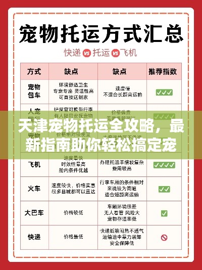 天津?qū)櫸锿羞\(yùn)全攻略，最新指南助你輕松搞定寵物出行！