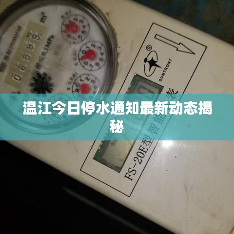 風(fēng)流倜儻 第4頁