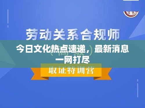 今日文化熱點速遞，最新消息一網(wǎng)打盡