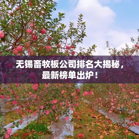 無(wú)錫畜牧板公司排名大揭秘，最新榜單出爐！