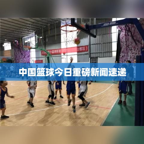 中國(guó)籃球今日重磅新聞速遞