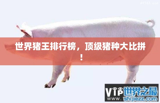 工程案例 第316頁