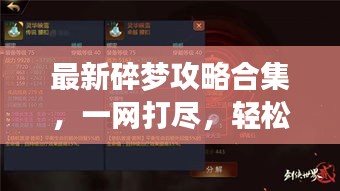 最新碎夢(mèng)攻略合集，一網(wǎng)打盡，輕松掌握游戲技巧！