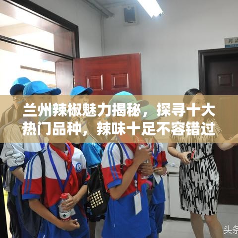 蘭州辣椒魅力揭秘，探尋十大熱門品種，辣味十足不容錯過