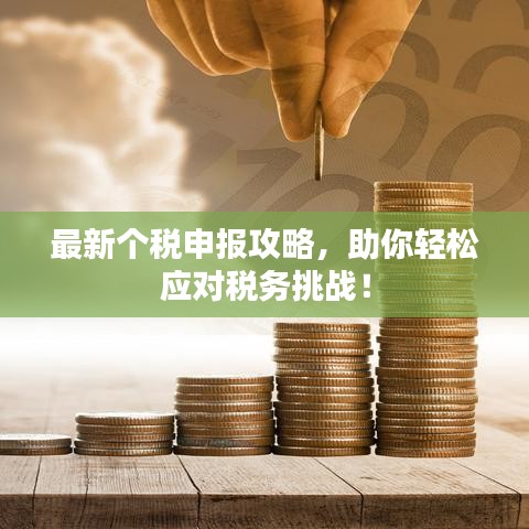 最新個(gè)稅申報(bào)攻略，助你輕松應(yīng)對(duì)稅務(wù)挑戰(zhàn)！