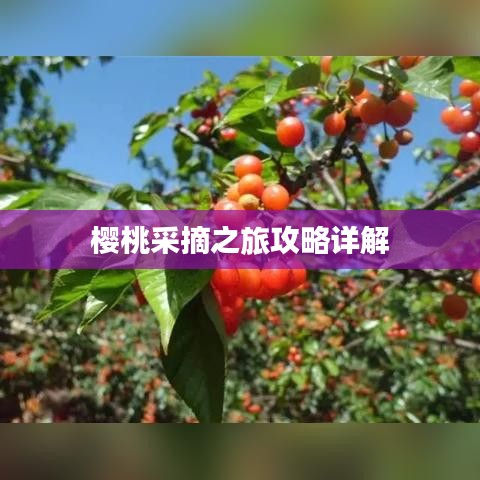 嘴是兩張皮 第3頁