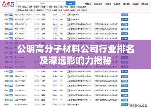 公明高分子材料公司行業(yè)排名及深遠(yuǎn)影響力揭秘