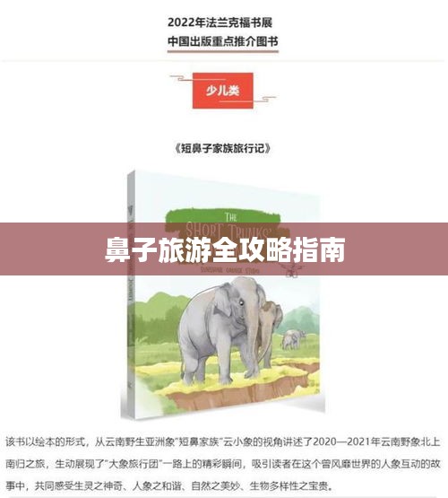 鼻子旅游全攻略指南