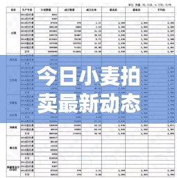 今日小麥拍賣最新動(dòng)態(tài)，市場走勢及前景展望
