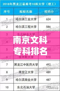 南京文科專科排名前十名校揭秘，學(xué)術(shù)明珠的探尋之旅