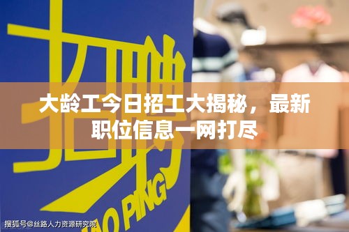 大齡工今日招工大揭秘，最新職位信息一網(wǎng)打盡
