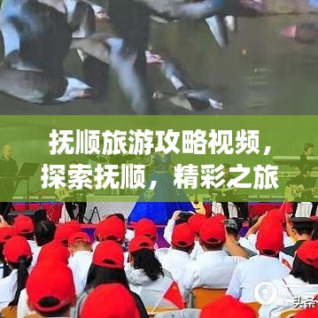 撫順旅游攻略視頻，探索撫順，精彩之旅不容錯(cuò)過