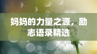 無拘無束 第3頁