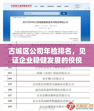 古城區(qū)公司年檢排名，見證企業(yè)穩(wěn)健發(fā)展的佼佼者