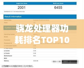 驍龍?zhí)幚砥鞴呐琶鸗OP10，性能與能耗比大解析！