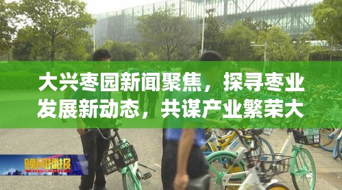 大興棗園新聞聚焦，探尋棗業(yè)發(fā)展新動態(tài)，共謀產(chǎn)業(yè)繁榮大計