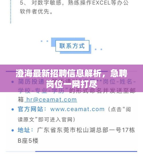 澄海最新招聘信息解析，急聘崗位一網(wǎng)打盡