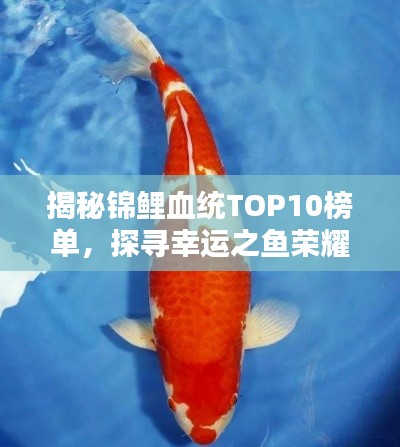 正襟危坐 第4頁(yè)