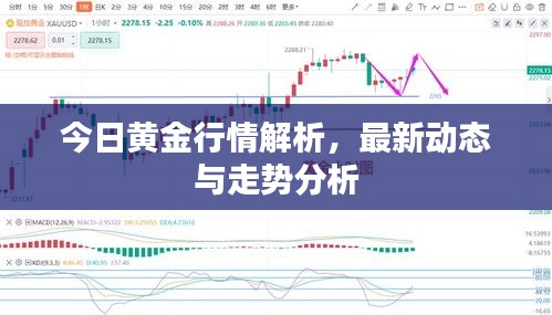 今日黃金行情解析，最新動(dòng)態(tài)與走勢(shì)分析