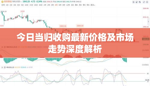 今日當(dāng)歸收購最新價格及市場走勢深度解析