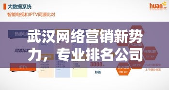 武漢網(wǎng)絡(luò)營銷新勢力，專業(yè)排名公司助力企業(yè)快速騰飛
