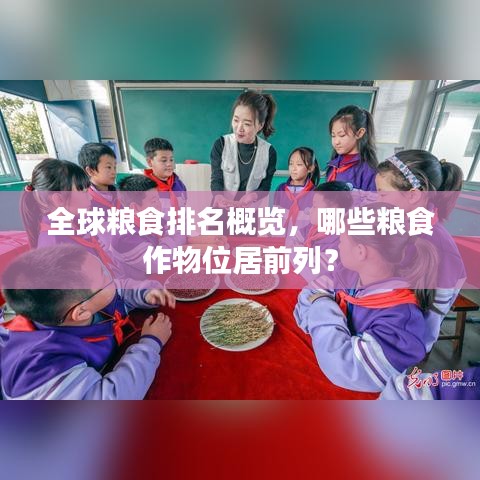 全球糧食排名概覽，哪些糧食作物位居前列？