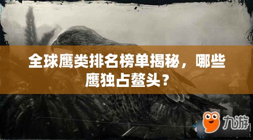 全球鷹類排名榜單揭秘，哪些鷹獨占鰲頭？