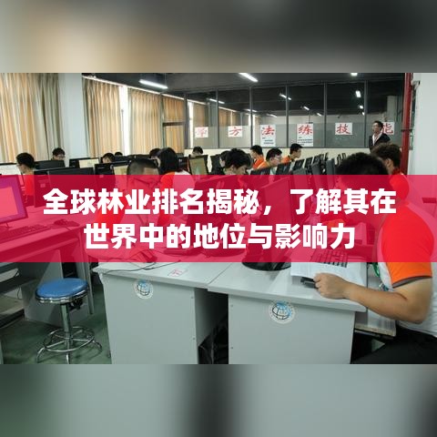 全球林業(yè)排名揭秘，了解其在世界中的地位與影響力